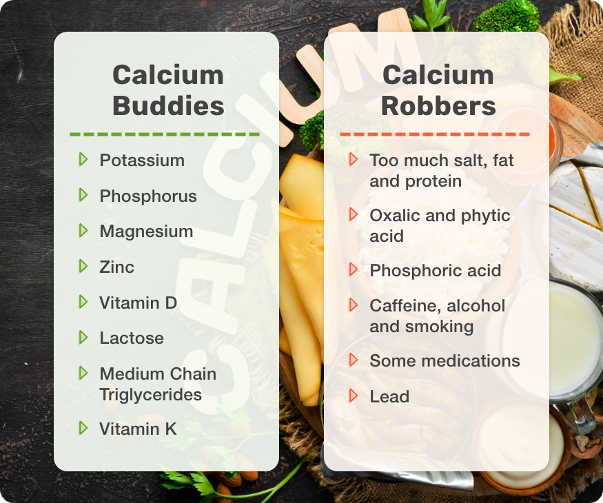 Calcium Above and Beyond What We Know Articles Nutrition Masterclass